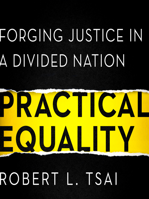 Title details for Practical Equality by Robert Tsai - Available